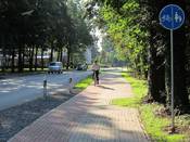 Bild 8: Der neue Radweg wird oft verkehrswidrig in der falschen Richtung benutzt, ...