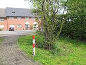 Bild 8: Hohe Anpflanzungen ...