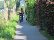 Bild 1 vom Juli 2012: Der in beiden Fahrtrichtungen befahrbare Geh- und Radweg ist durch Pflanzenbewuchs stark eingeengt